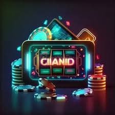 betvd